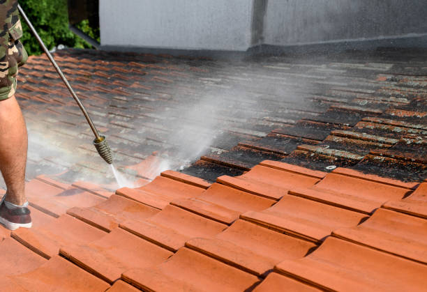 Best Deck Pressure Washing  in Brighton, IL