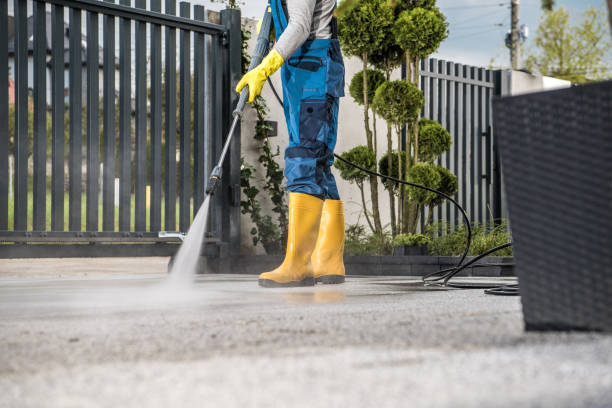 Best Pressure Washing Near Me  in Brighton, IL